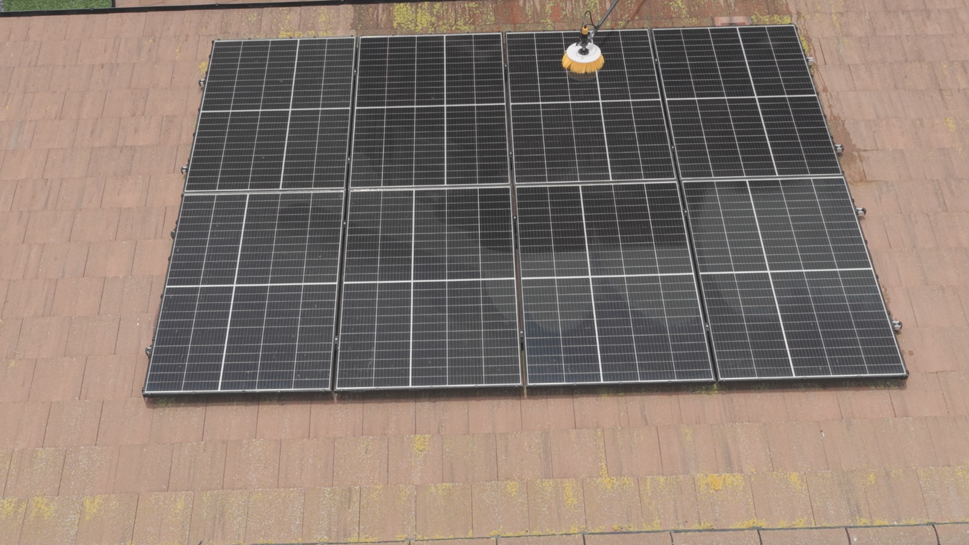 Solar panels being cleaned with an extended soft brush